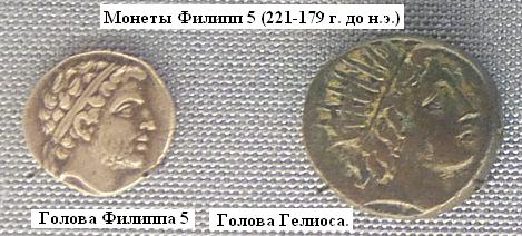 Монеты Филиппа 5 (Слева голова Филиппа 3 Македонского (221-179 г .до н.э.),  справа голова Гелиуса.) Эрмитаж. (Фото  Лимарева В.Н.)