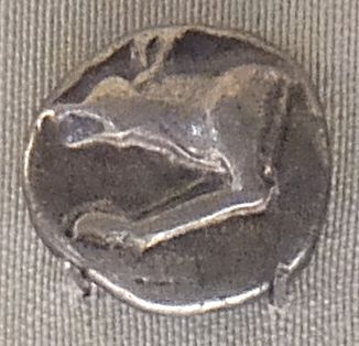 Волк. Монета острова Кос. (Греция) 5век до н.э.(увеличено) Эрмитаж. (Фото  Лимарева В.Н.)