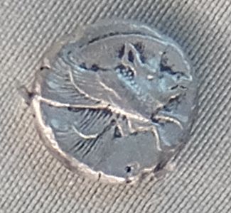 Кабан. Монета (диобол) острова Самос. (Греция) 4 век до н.э. Эрмитаж. (Фото  Лимарева В.Н.)